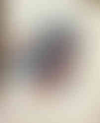 The Warrior Iteration 2 - circa 2004 - 2005