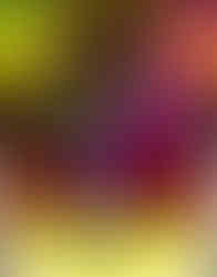 The Joker - "Welcome to the Creep Show" Part 1 - October 2025