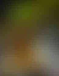 The Leader - Villain-tober 2023