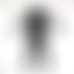 Most Words In A Hit Single...