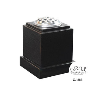 CJ 883.jpeg