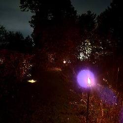 Rauhnachts Begleitung 2025 im wilden Garten in 67454 Haßloch