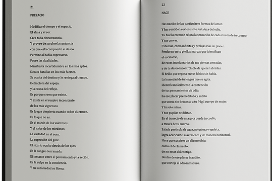 LIBRO ABIERTO (MITAD2).png