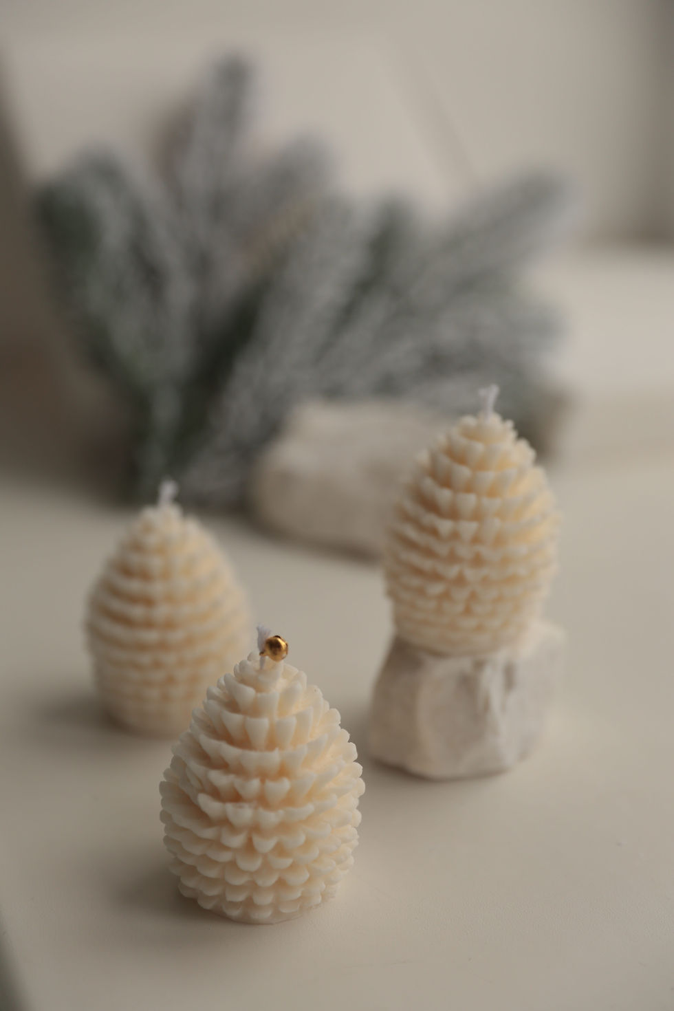 Прев'ю: Шишка