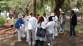 IMG_20240529_105045_edited.jpg