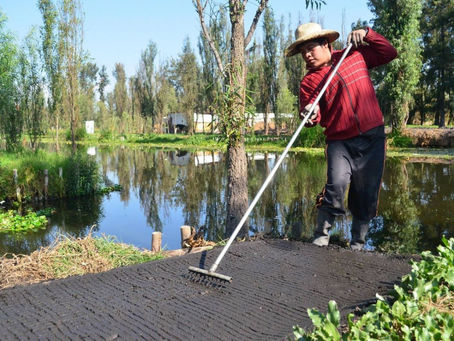 La chinampa: un agroecosistema tradicional de alimentación sostenible
