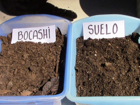 ¿Qué materiales requerimos para iniciar el huerto orgánico?
