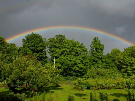 Nature's Promise of Hope