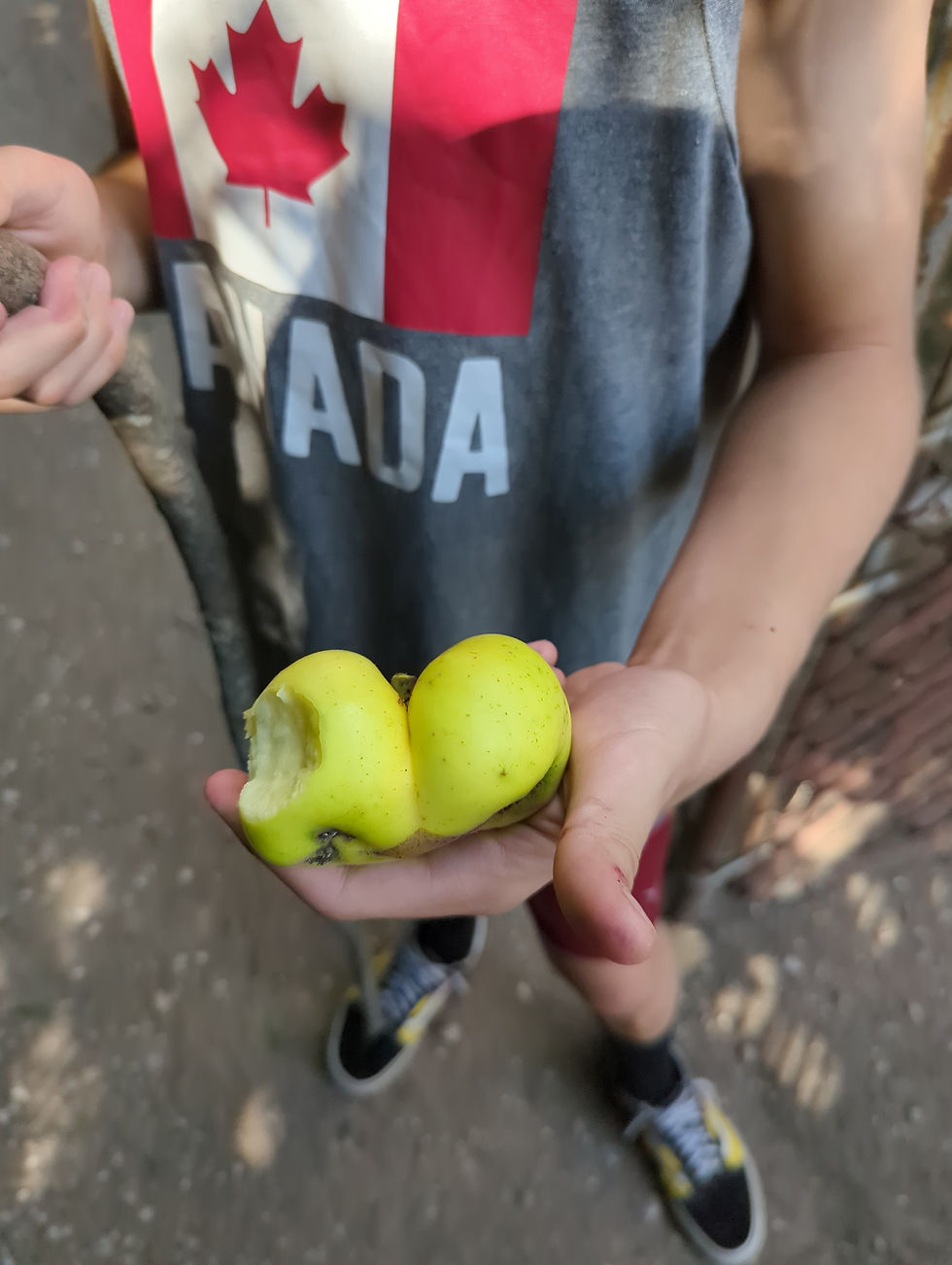 The coolest conjoined Apples we ever did see!