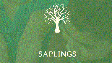 saplings.GIF