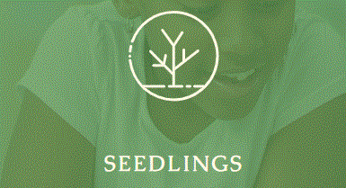 seedlings.GIF