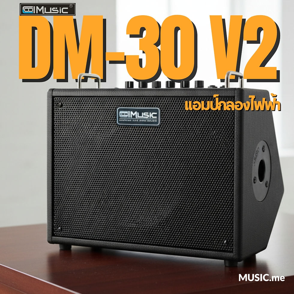 ภาพขนาดย่อ: CoolMusic DM-30 V2