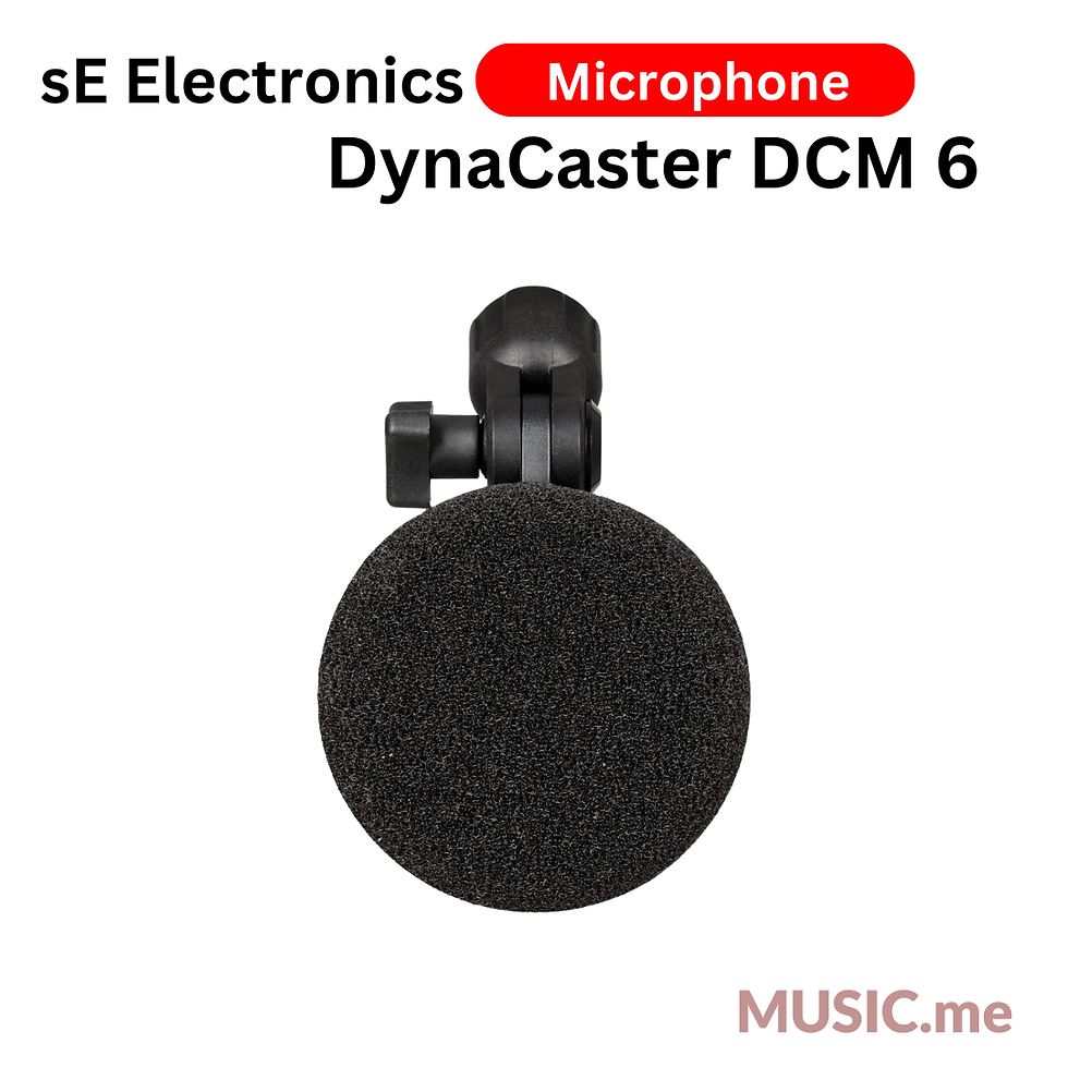 縮圖：sE Electronics DynaCaster DCM 6