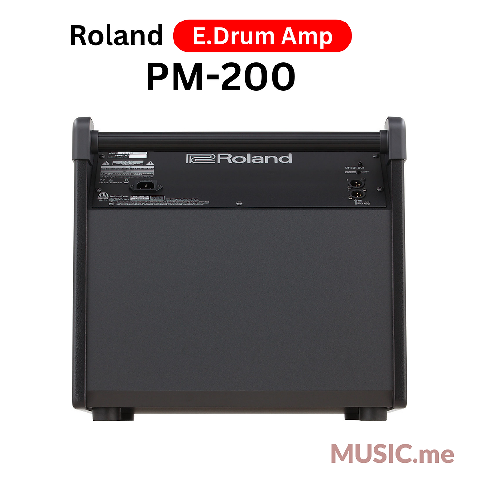 縮圖：Roland PM-200
