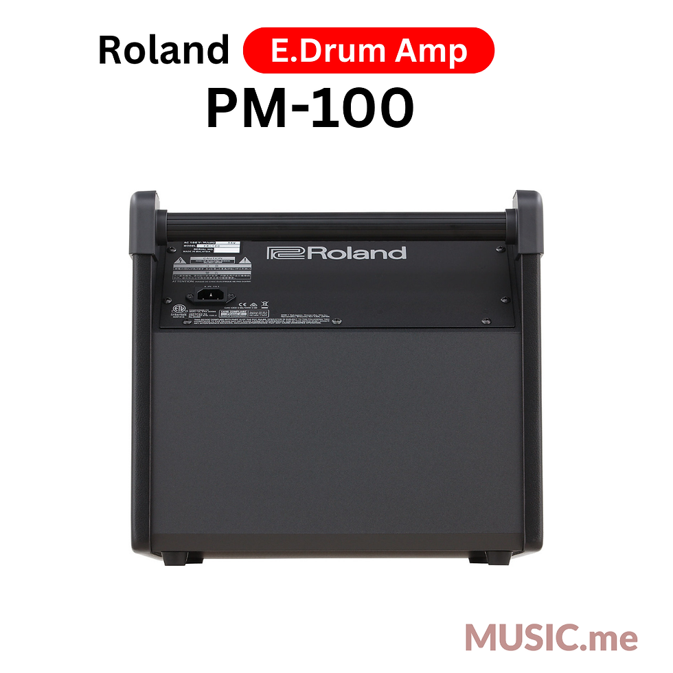 縮圖：Roland PM-100