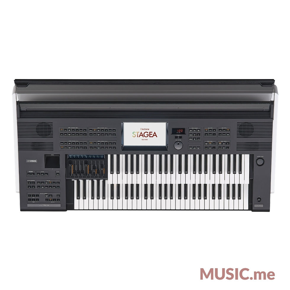 縮圖：Yamaha ELS-03XR