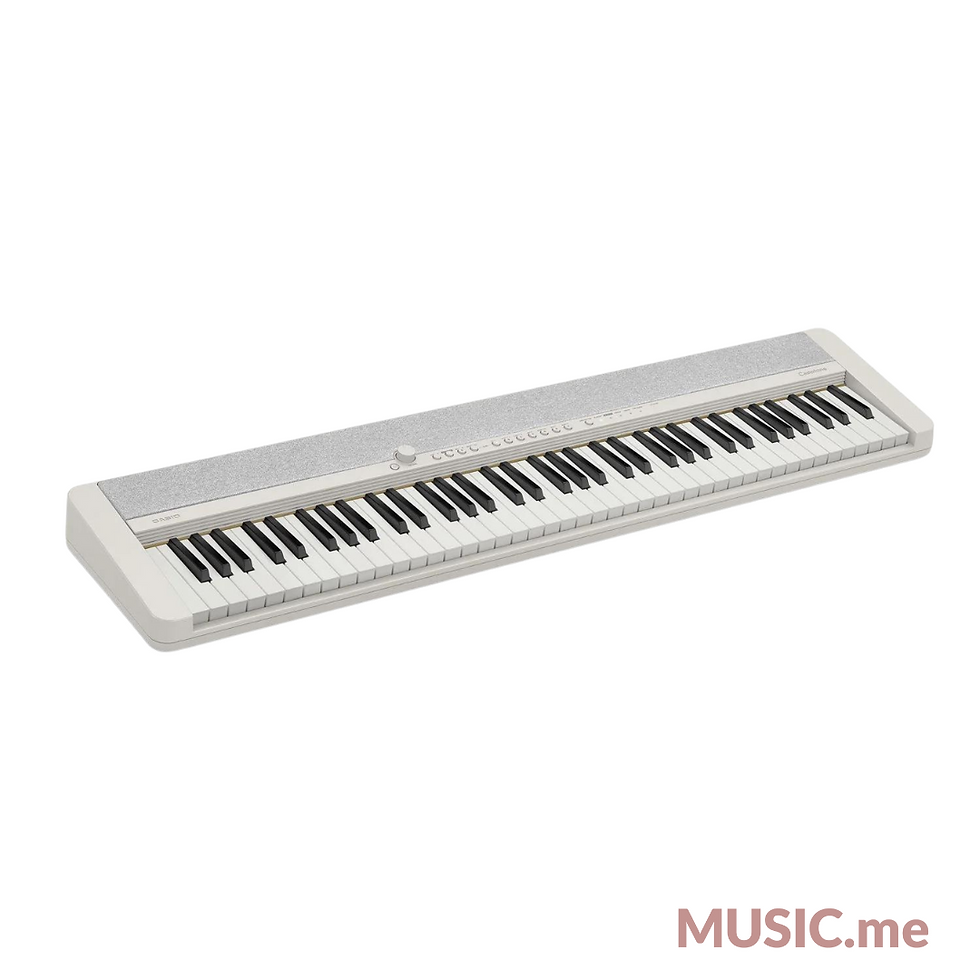 縮圖：Casio CT-S1 76 Keys