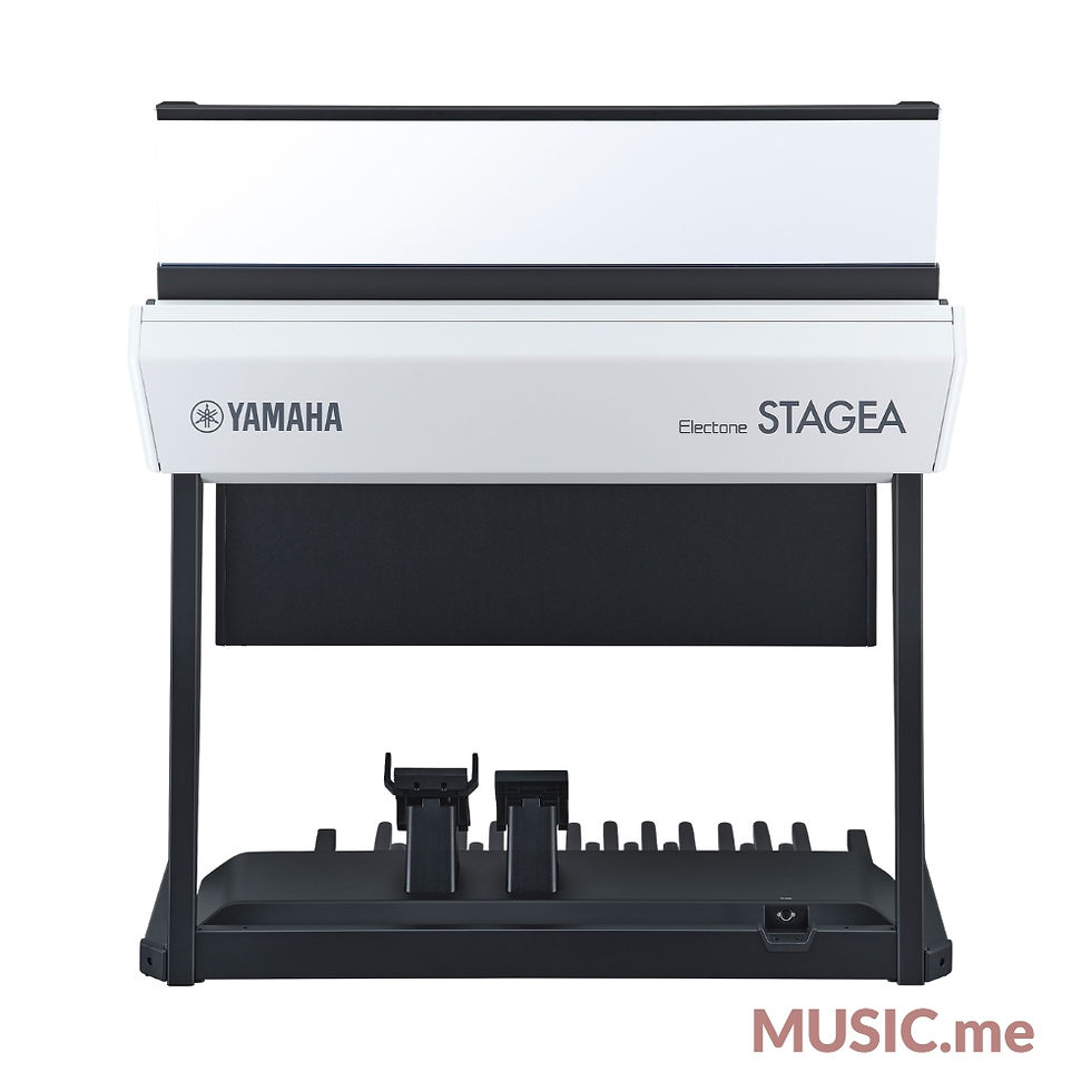 縮圖：Yamaha ELS-03XR