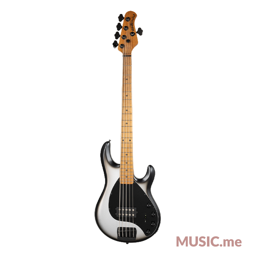 縮圖：Music Man StingRay 5 H Special