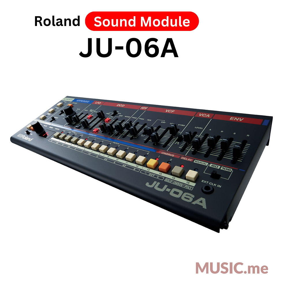 縮圖：Roland JU-06A Sound Module