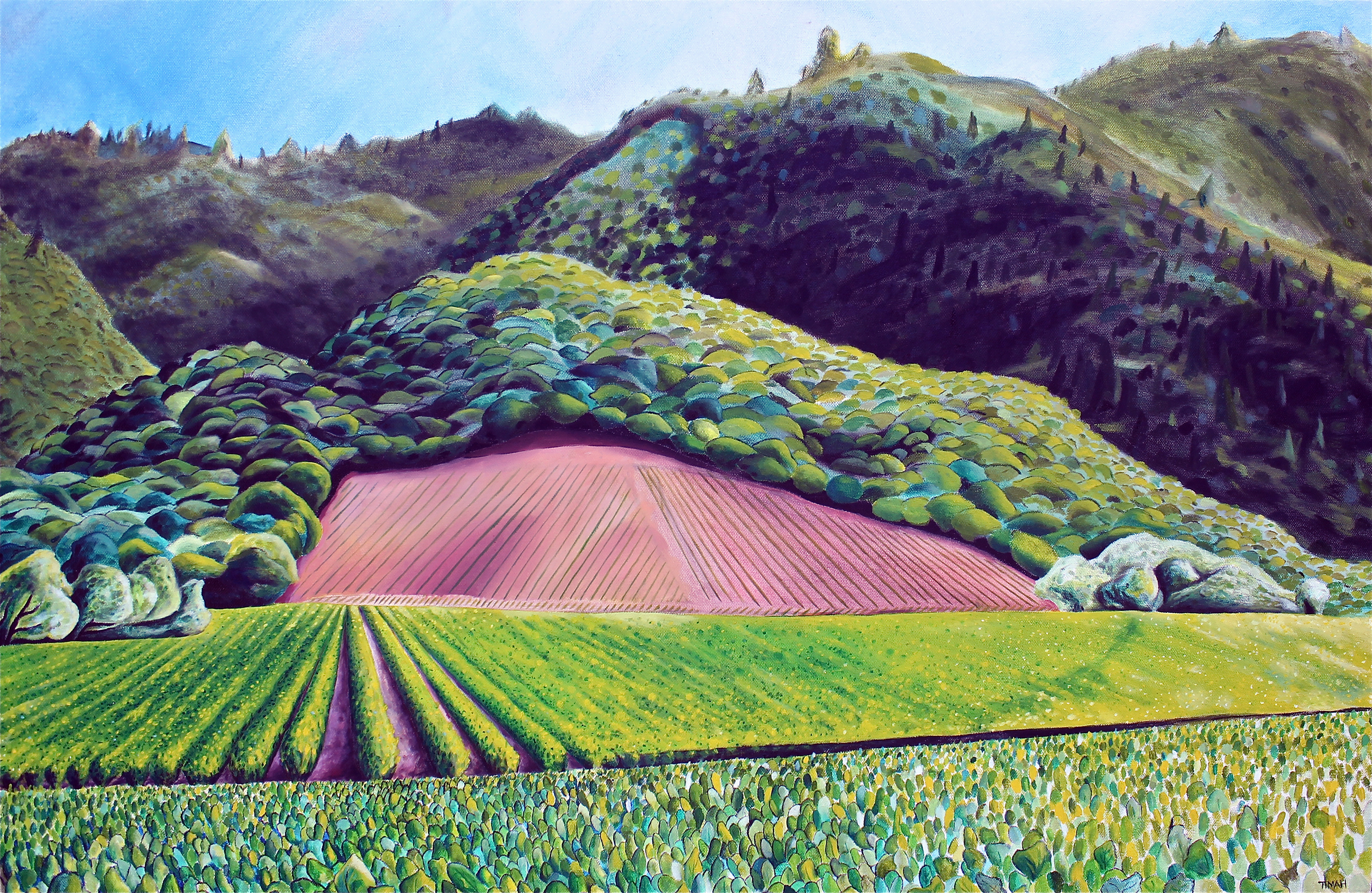 Vineyard 2, 2015 (24 x 36 inches)