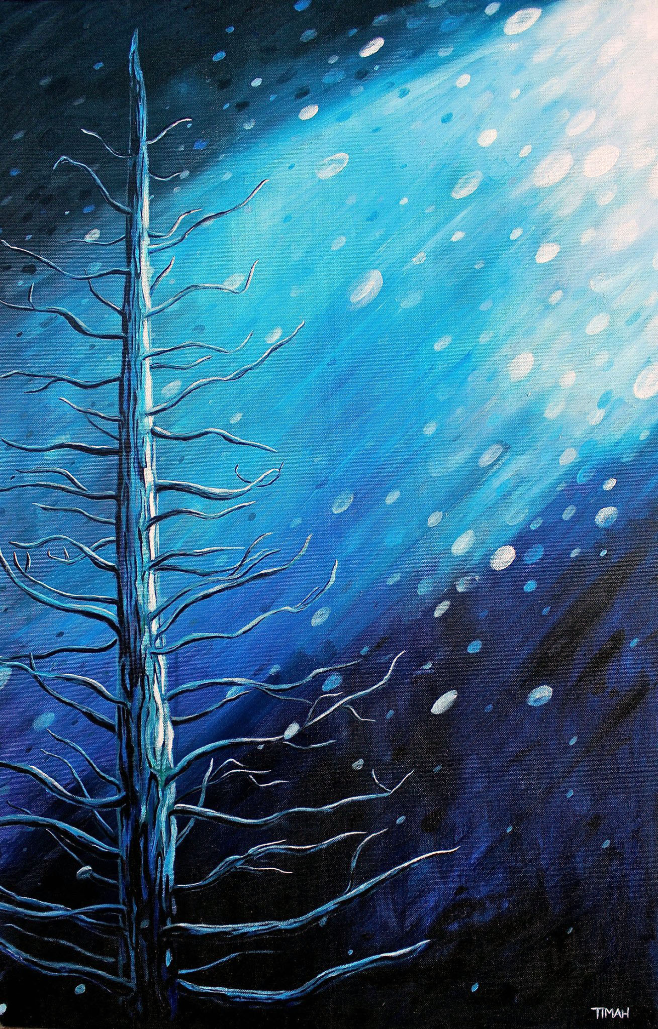 Tree in the Snow at Night, 2014.jpg