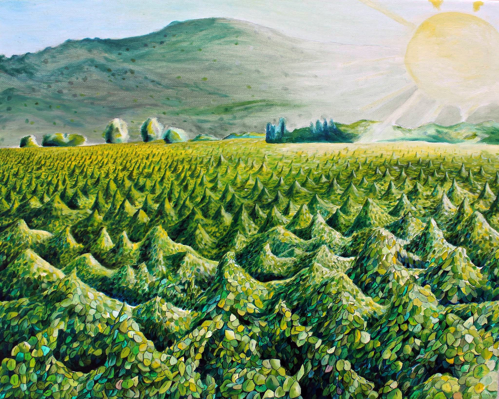 Vineyard, 2015  (20 x 16 inches)