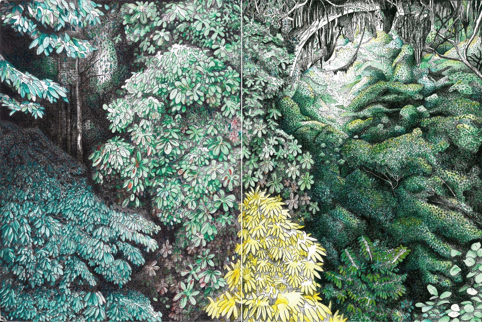 Jungle, 2012 (Diptych, 18 x 24 inches, Pen and Pencil on Paper).jpg