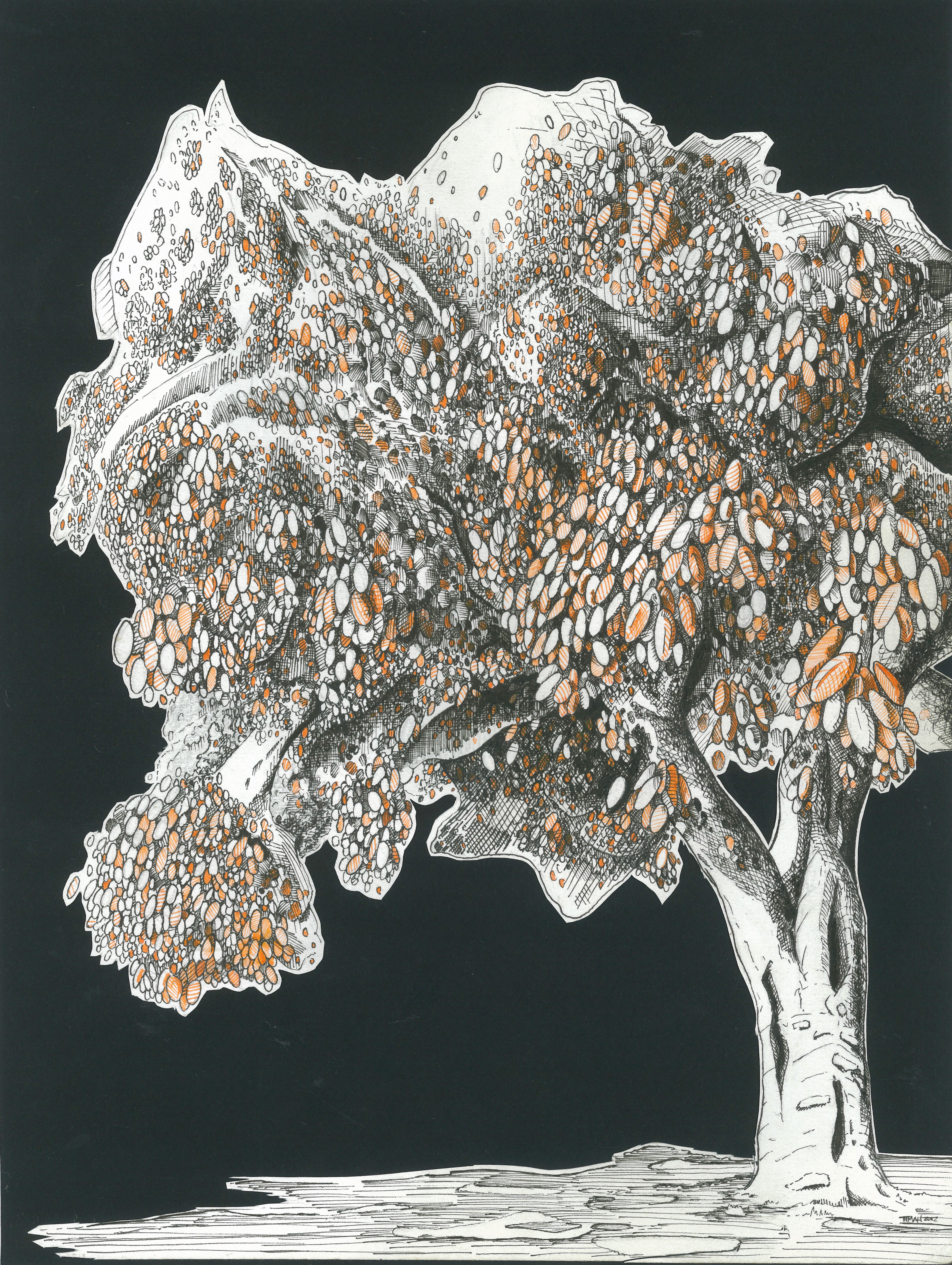Tree in Jakarta, 2012.jpg