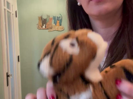 Squeaky Toy Survival Rates