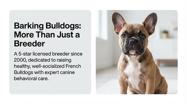 barking bulldogs