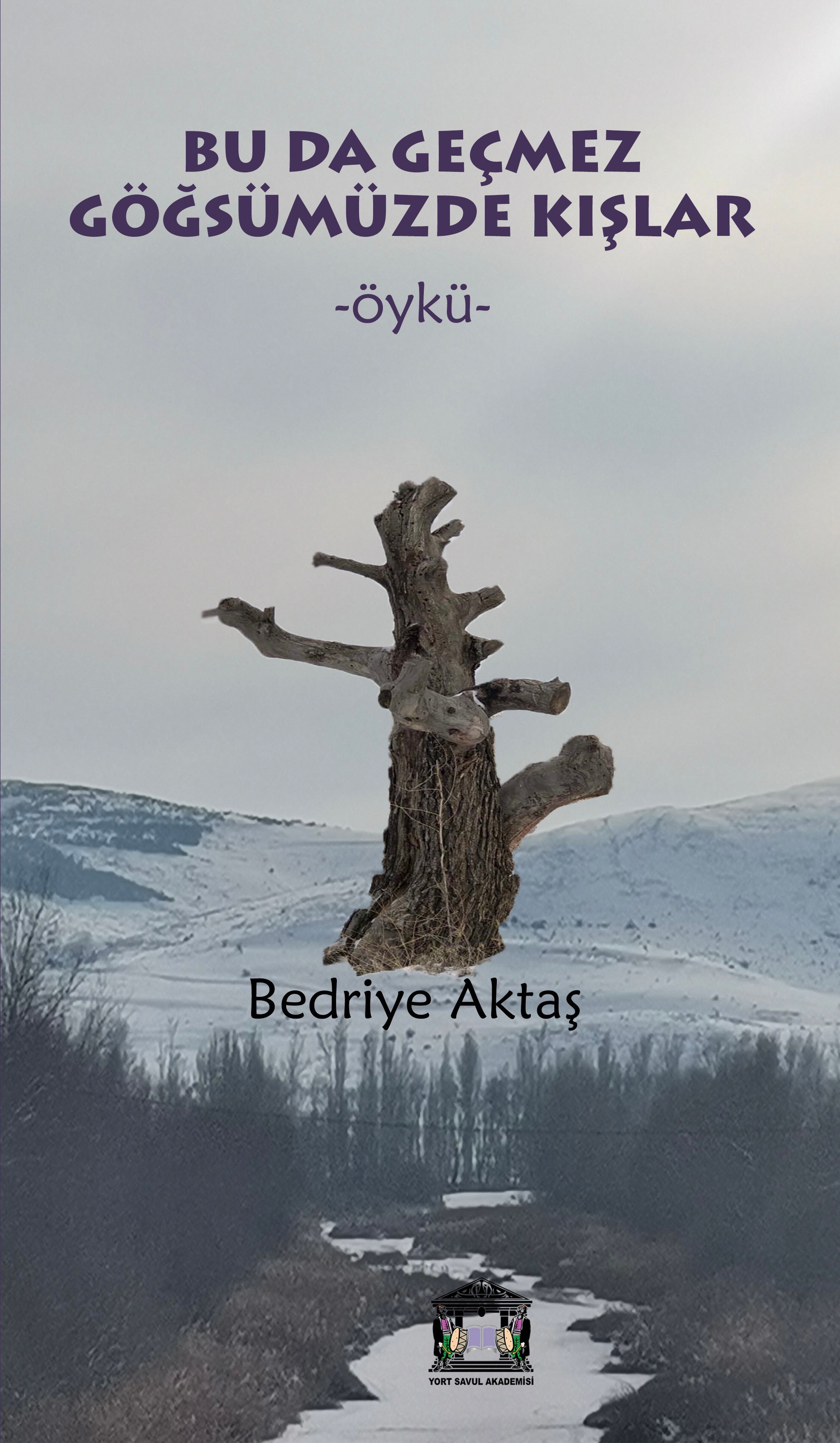 Bu Da Geçmez Göğsümüzde Kışlar