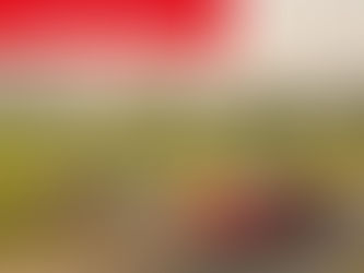 Performance Issues in Your Social Media Team?