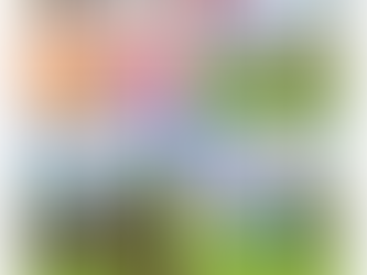 Tim and Bash 🔥 Issue #029