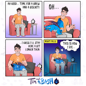 Tim and Bash 🔥Issue #076