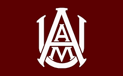 AAMU 3.png