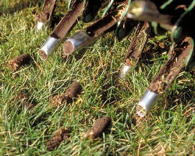 NDSU Agriculture Extension Lawn Aeration.jpeg