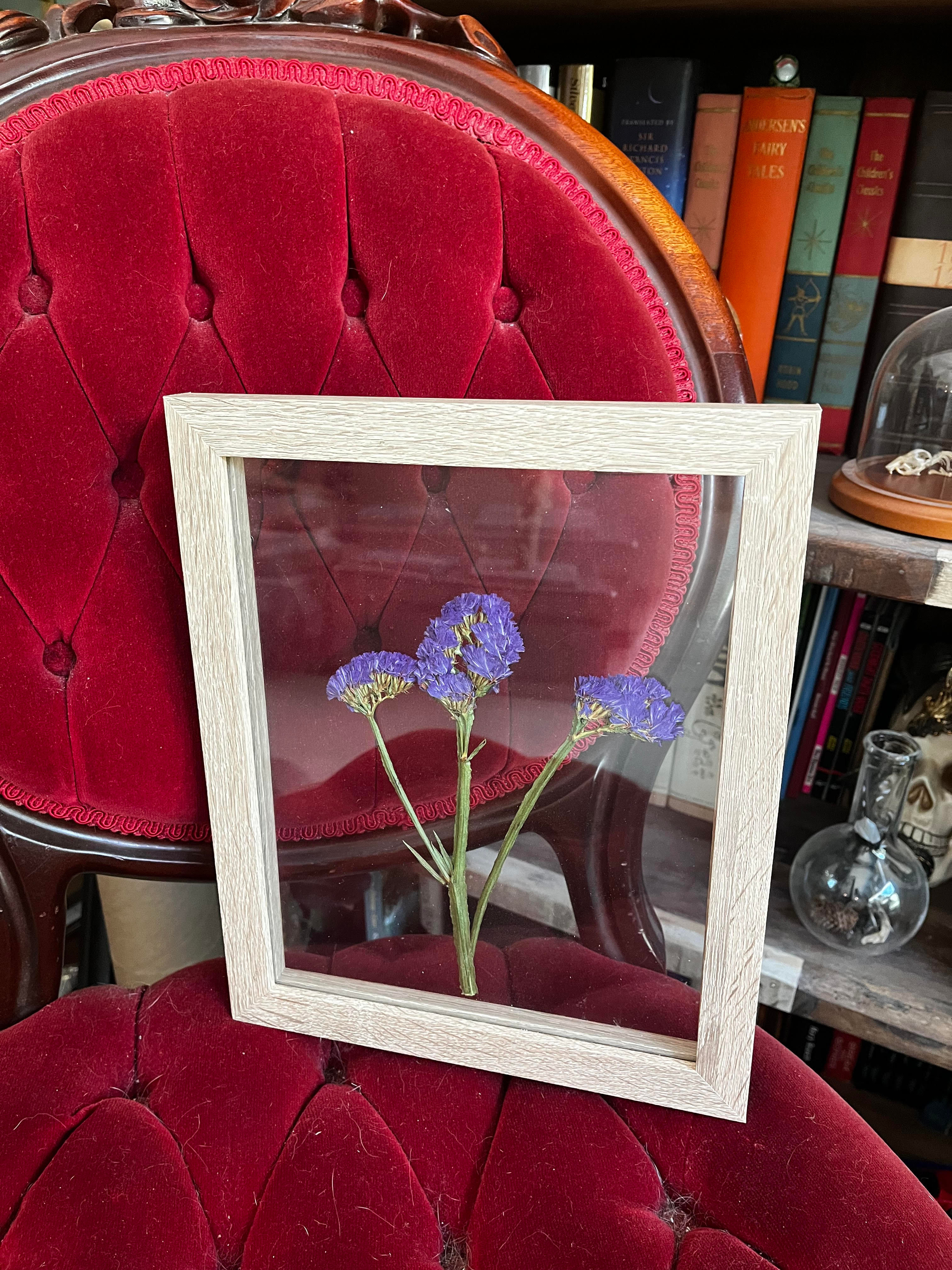 Pressed Sea Lavender