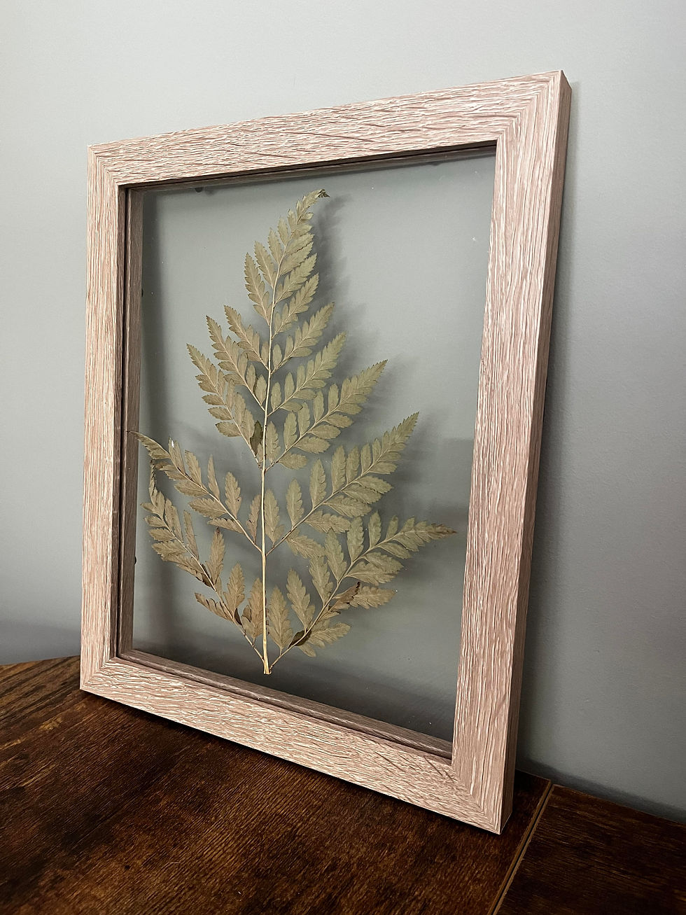 Lightly aged Fern