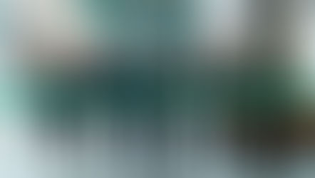 The University of Hong Kong Unveils HKU History Gallery, Celebrating 115 Years of Legacy