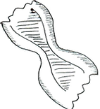 Picture5.png