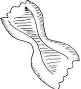 Picture5.png