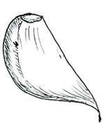 Picture12.png