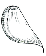 Picture12.png