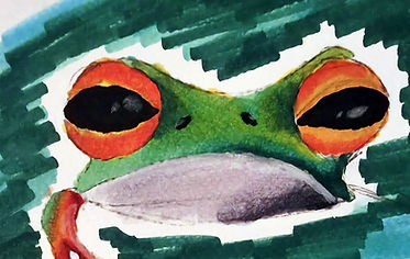alcoholmarkers_max_frog.jpg