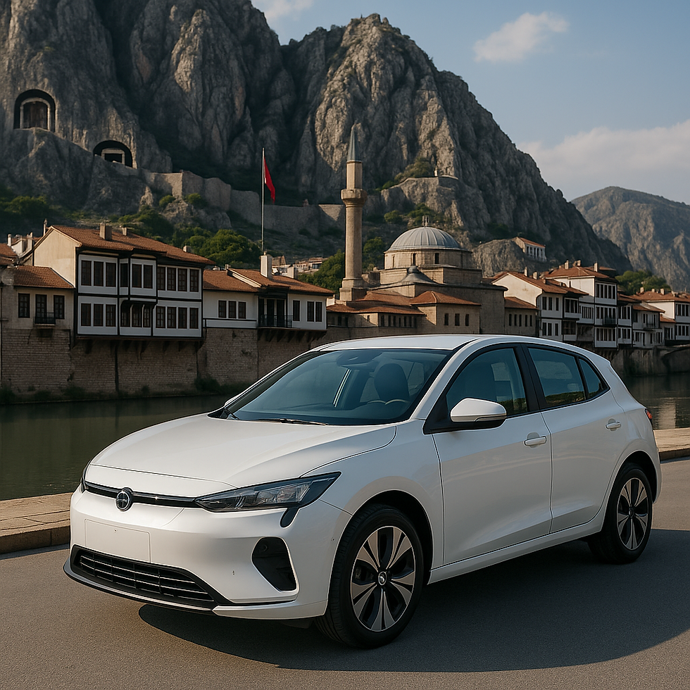 amasya şarj istasyonu, ev tipi wallbox, elektrikli araç şarj kurulumu, sarjistasyonukurulumu.com