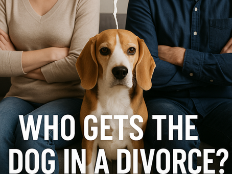 Who Gets the Dog in a New York Divorce? Understanding Pet Custody Laws