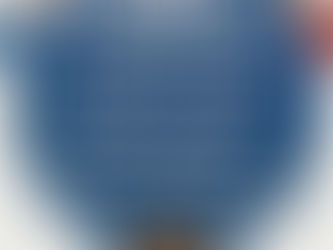 Parental Alienation in Custody Determinations