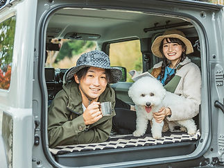 犬と一緒に車中泊