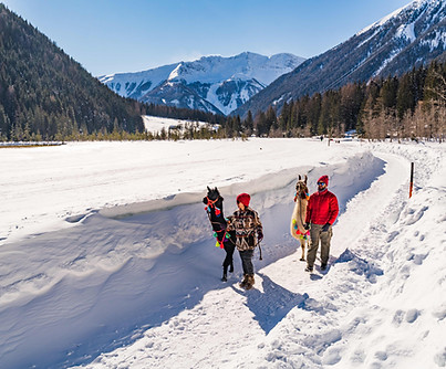 Lama Wanderung Tauernlama Mallnitz Winter 2021 (12).jpg